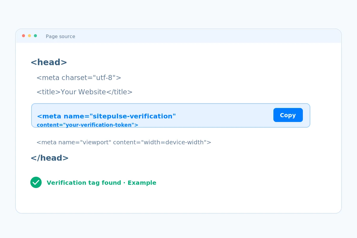 Example page head showing the website verification meta tag